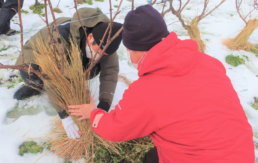 イオンハートフル・ボランティア
