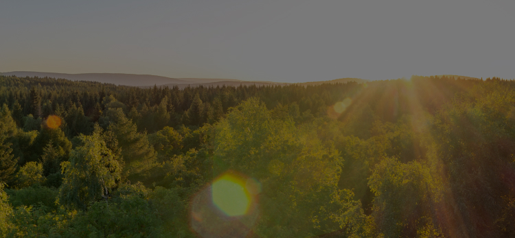 環境・社会貢献活動への取り組み